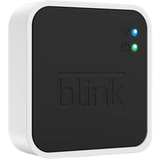 Blink Sync Module 2