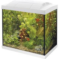 Start Tropical Aquarium Kit 50 White