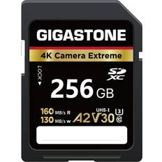 Gigastone 256GB SD Card, Camera Extreme, A2 V30 U3 SDXC Memory Card High Speed UHD Video Compatible with Canon Nikon Sony Panasonic Digital Camera, with 1 Mini case