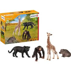 Hippos Toy Figures Schleich Wild Life Starter Set 72162