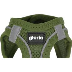 Husdjur Gloria Hundsele 24,5-26