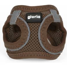 Husdjur Gloria Hundsele 31-34,6 S