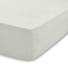 Cotton - Flat Sheet Bed Sheets Bianca 200 Thread Count TENCEL Bed Sheet