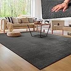 Modern Cosy Living Room Rug 300x400 cm