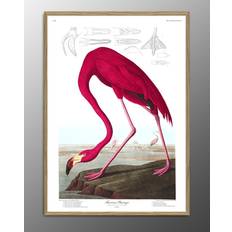 The Dybdahl Co Brugskunst The Dybdahl Co The Dybdahl Co American Flamingo. Print #6500 Flamingo Plakat