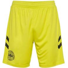 Denmark Goalkeeper Shorts 2024/25