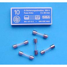 Finsäkring 5x20 tröga T 10-pack 1,0 A