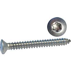 Skrue linsehoved 19 A4 Torx ISO 14587 20stk