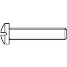 Toolcraft 839643 Linseskruer M2