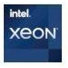 Intel Xeon E-2378G 2.8 GHz processor Box CPU 8 kerner 2.8 GHz LGA1200 Boxed med køler