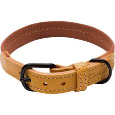 Cloud7 Hundhalsband & Selar Husdjur Cloud7 Dog Collar Madeira Ginger