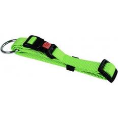 Ryom Hunde - Hundehalsbånd & -Seler Kæledyr Ryom Halsbånd Nylon Grøn 10 mm 20-35 cm