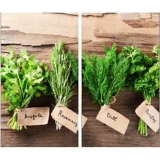 Geezy Herbs Set of 2 Saver Chopping Board