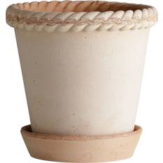 Pots, Plants & Cultivation Bergs Potter Emilia