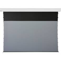 Projektionstücher Celexon Leinwand Motor HomeCinema Plus Tension CLR UST, 92" weiß 92" 16:9 Leinwand, Weiss