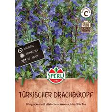 April Blumensamen SPERLI Türkischer Drachenkopf Bunt