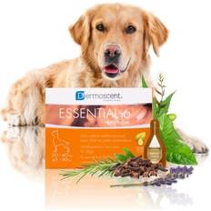 Dermoscent Bayer 6 Spot On Skin Care Extra Large Dogs 45 To lbs