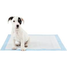 Geezy of 144 Extra Large Super Absorbent Training Pads