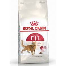 Royal Canin Fit 32 Dry Cat Food 400