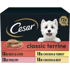 Cesar Pets Cesar 72 150g Classics Adult Wet Dog Food Trays Loaf