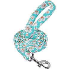 Husdjur Grandado Laisse Imprimée en Nylon 150 cm - Vert 3