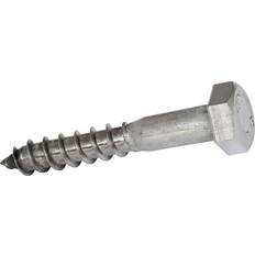 Apex Stainless Steel Coach Screw M8 100