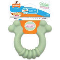 Nylabone Sensory Material Puppy Chew Ring