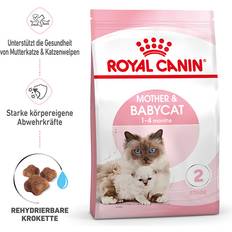 Royal Canin Mother & Babycat 2x4