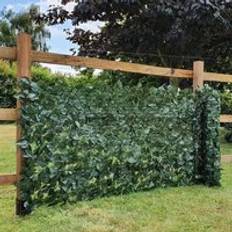 Ivy Leaf Hedge Garden Fence Privacy Screening