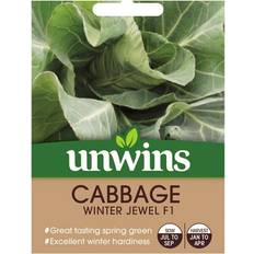 Semi di fiori Unwins Grow Your Own Cabbage Winter Jewel F1 Vegetable