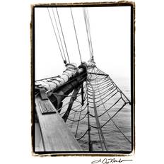 Set Sail IV DeNardo