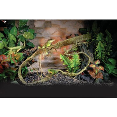 Penn Plax Reptile Climbing Vine Brown 5 Foot
