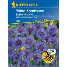 Oktober Blumensamen Kiepenkerl Wilde Kornblume 0693109438