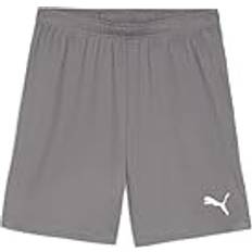XXL Trousers Puma TeamGOAL Shorts
