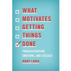 What Motivates Getting Things Done Mary Lamia 9781538121900