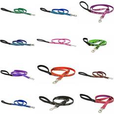 Tail Feathers, 6 ft Lupine Adjustable Lead Dog Leash