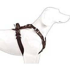 Dingo Cobra System Hundsele i Läder XL