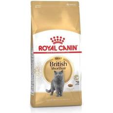 Royal Canin British Shorthair Cat Food 4kg