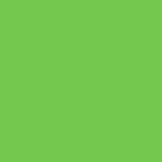 Paint Little Greene The Little Absolute Matt Emulsion Wall Paint Green
