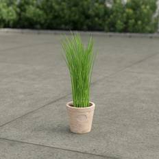 Artificial Chives Terracotta