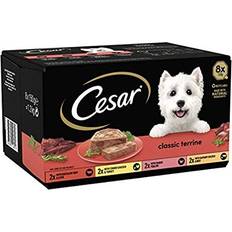 Cesar Cesar Classics Terrine Dog Food for