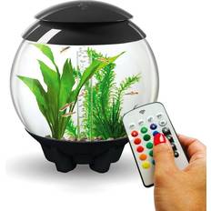 Biorb Halo 15L Aquarium MCR