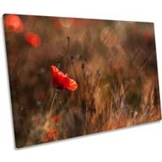 CanvasGeeks Poppy Flower Meadow Picture Print Framed Art