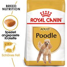 Royal Canin Poodle Adult 3 3kg