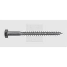 SWG Träskruv 10 mm 200 mm Set of 25