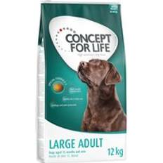 Concept for Life Large Adult 100g