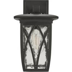 Lowe's Lowe's Calypso Wall Light