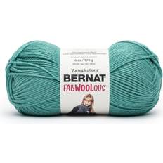 Turquoise Yarn Spinrite Teal Bernat Fabwoolous Yarn