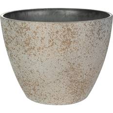 Edelweiss Nova Blomkruka 43x33 cm Concrete Gold