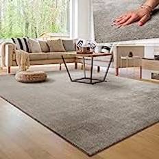 Modern Cosy Living Room Rug 240x340 cm
